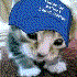 Avatar for jlien360