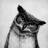 Avatar für CrystalAndWood