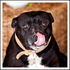 Avatar for Keeley999