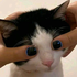 virchualworld 的头像