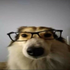 Avatar for saladcrumcher