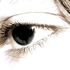 Avatar for jrgnrdrgs