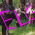 Avatar for Elglol