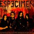 Especimen のアバター