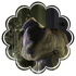 Avatar for thewild-