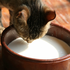 CreamCat さんのアバター