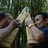 Lao Khaen Duo 的头像