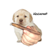 Avatar de mancojanco