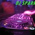 Avatar for DJ Sparks