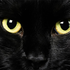 Avatar für Em_h249