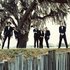 Avatar for Arcade Fire