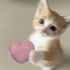 caiofangirl さんのアバター