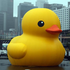 personifiedduck 的头像