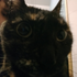 Rodri_silva2964 的头像