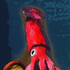 Avatar for Squido