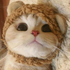 Avatar for oqulis