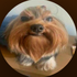 Avatar for Digas_SA