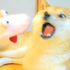 hedgehop 的头像