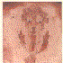 Avatar di satyavakya