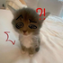 Avatar for xoCtrl