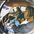 Local H 的头像