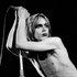 Avatar de Iggy Pop