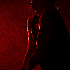 Avatar for echostereos