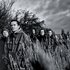 Avatar de Heaven Shall Burn
