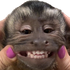 Avatar de joaovcds