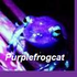 purplefrogcat さんのアバター