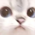 Avatar for Catmuncherzoey