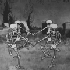 Avatar für lllbon3Slll