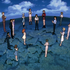 Avatar for MVS511_
