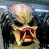 Avatar di fredrostarr