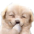 Avatar de osecho