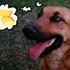 Avatar for cornbreadjr69