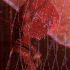 Avatar for ssnxxw