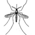Avatar di komar_waleczny