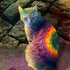 Avatar for RainbowKats