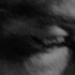 Avatar for ventm2
