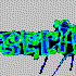 Avatar for Insectoid