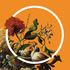 Avatar for Rueful_Tones