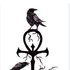 Avatar di Noctum29