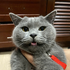 Avatar for ashley_7692