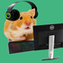 Avatar de Goldhamster49