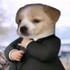 Avatar de Liaz1nha