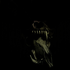 Avatar for luisacippa