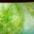Avatar for iainharlow