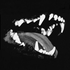 Avatar for rabid-wolf