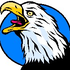 Avatar for thecrazyeagle